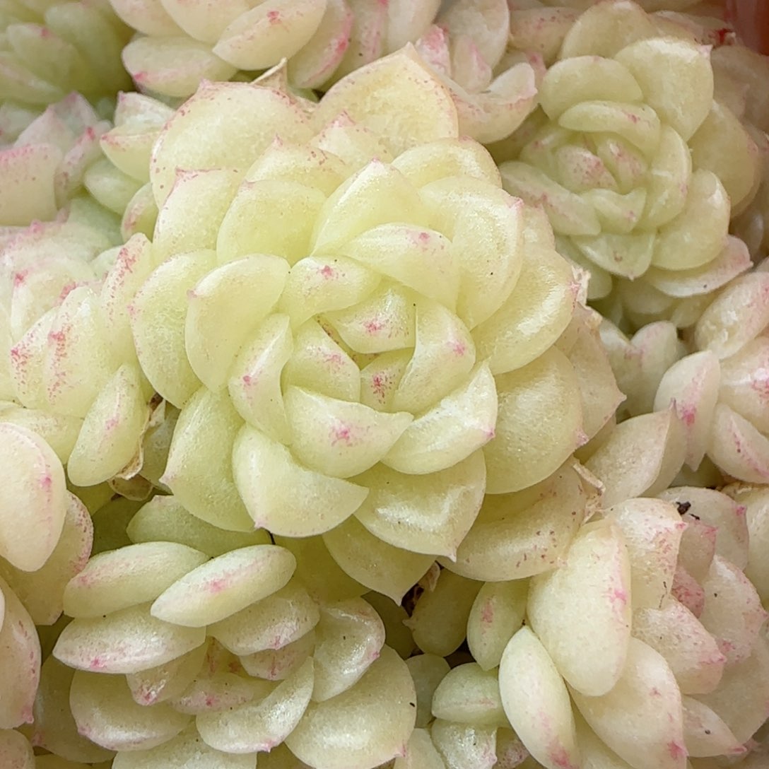 i**”【闪购商品】0208-41（m1-211-4）