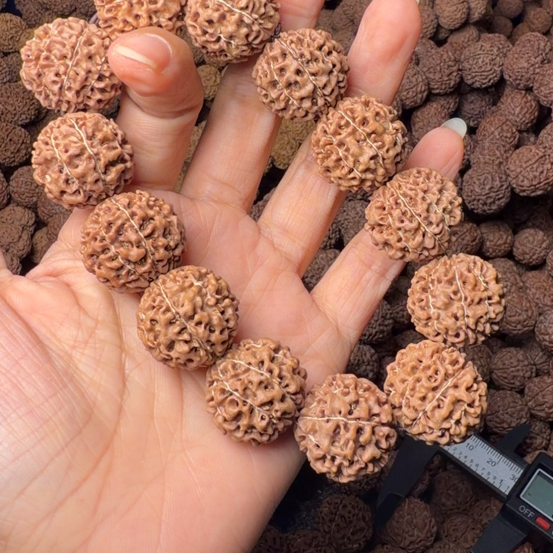 手串金刚菩提8瓣卡22尺，118号