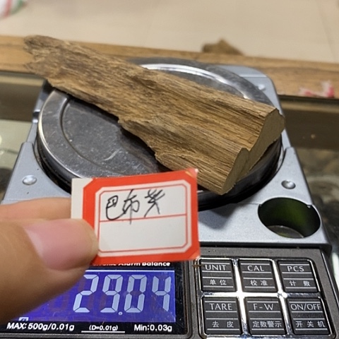 星洲系材料一块（福利304