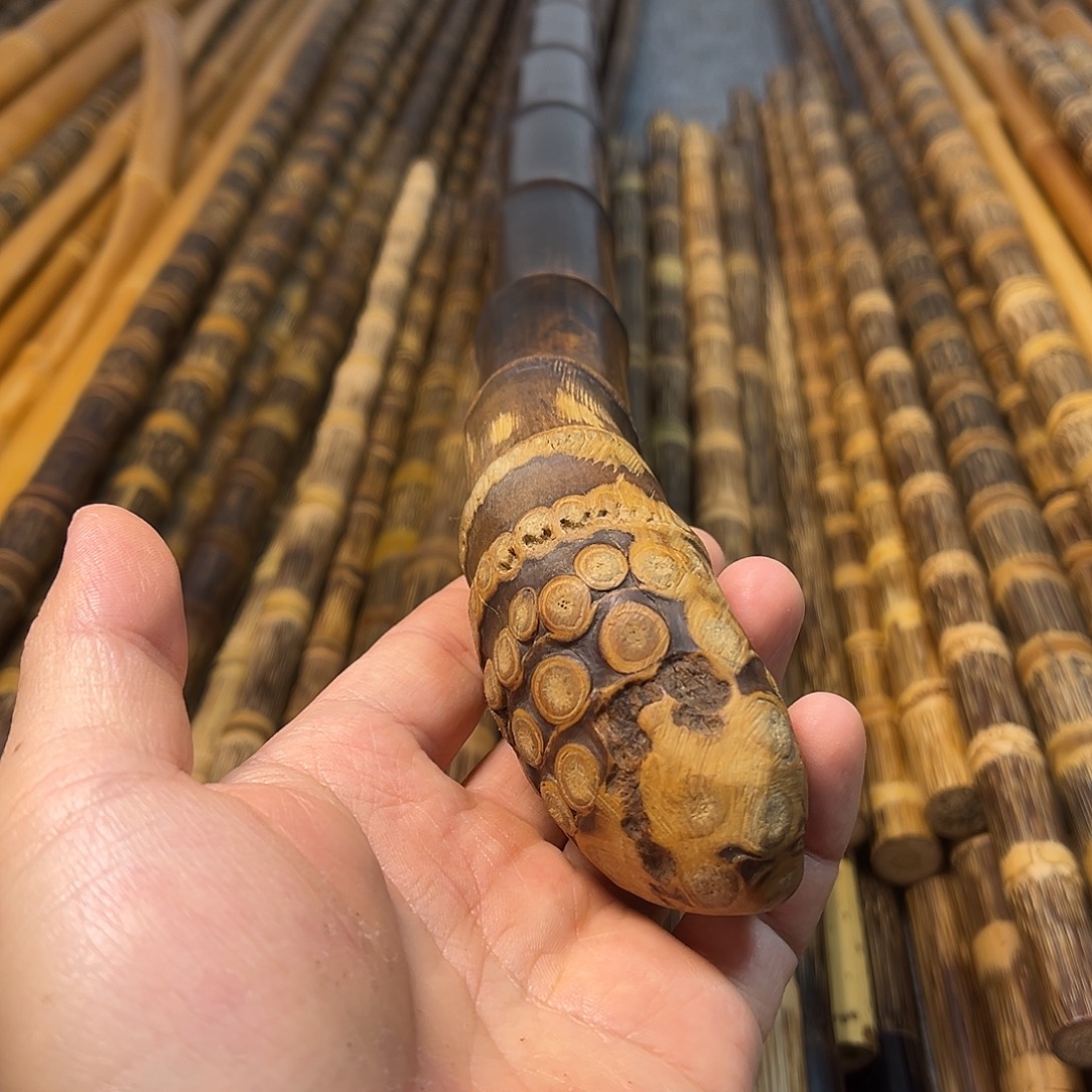 海***林竹精美紫竹拐杖带根