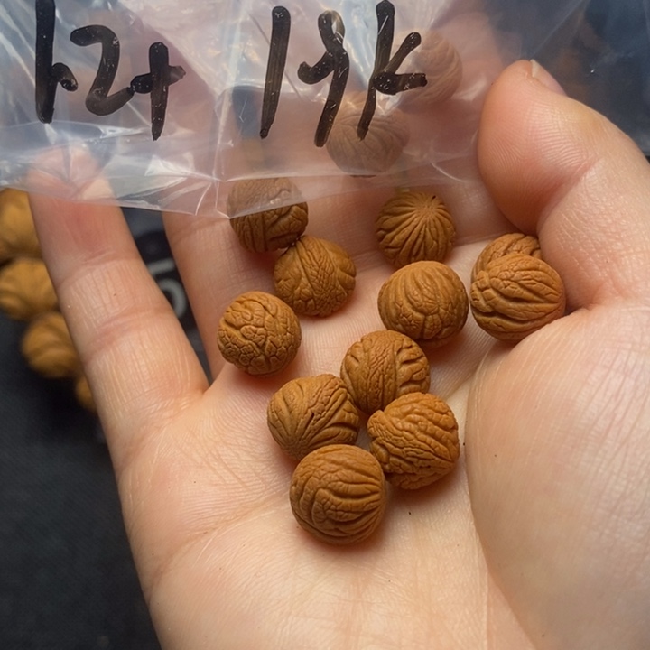 桃核吊坠秦岭山野生桃核