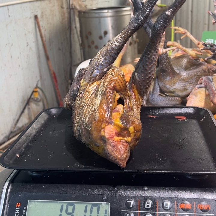 一号母鸡食用农产品懒*洋