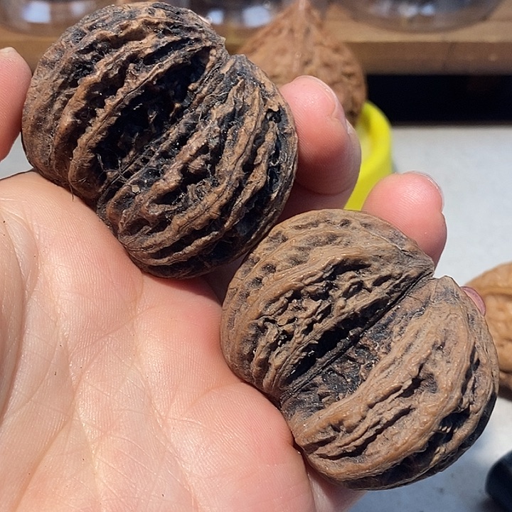 文玩核桃把件6666666666