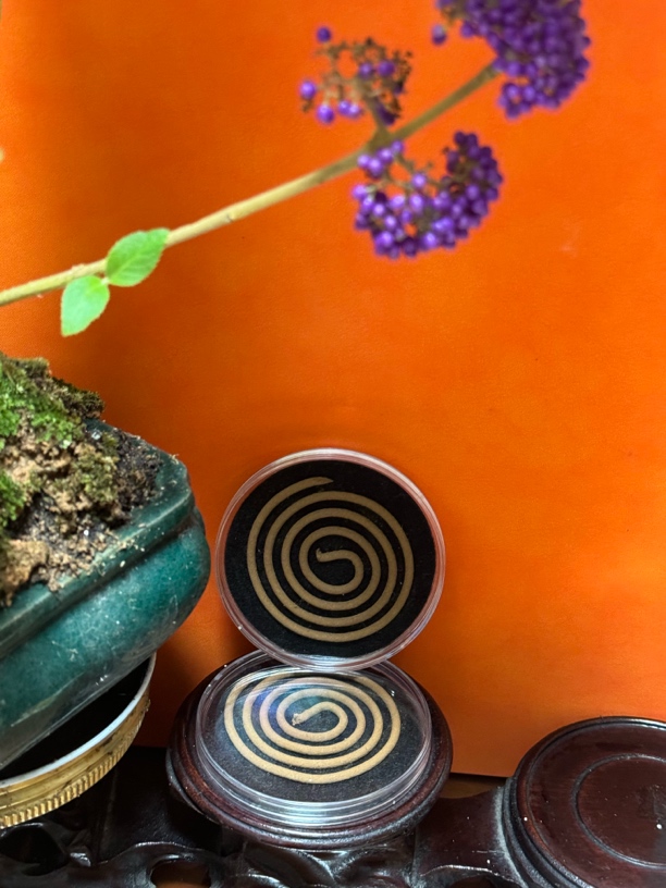 sky妍妍·壳子盘香