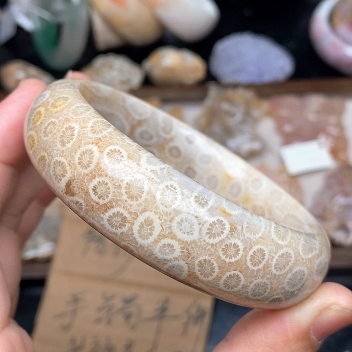 硅化珊瑚（珊瑚玉）手镯未镶嵌59