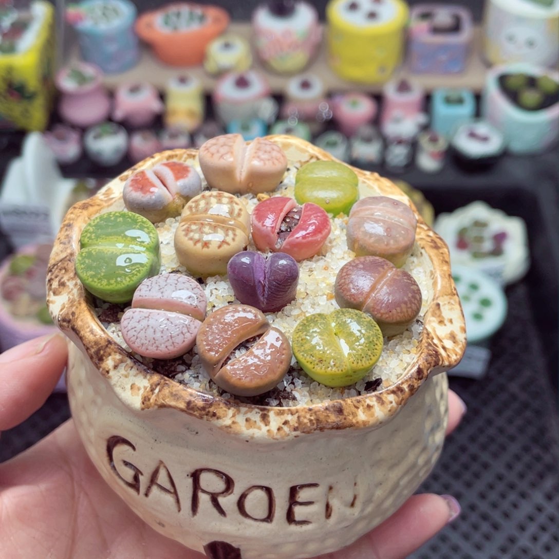 w8032 带盆土发货 -零下地区拍保温箱