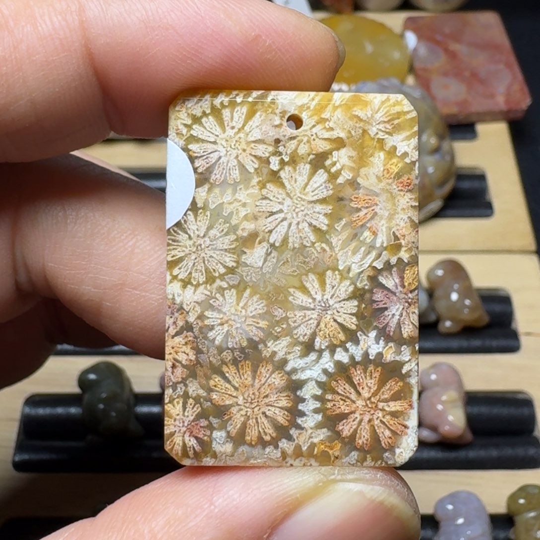 硅化珊瑚（珊瑚玉）纯天然色有机玉石未镶嵌