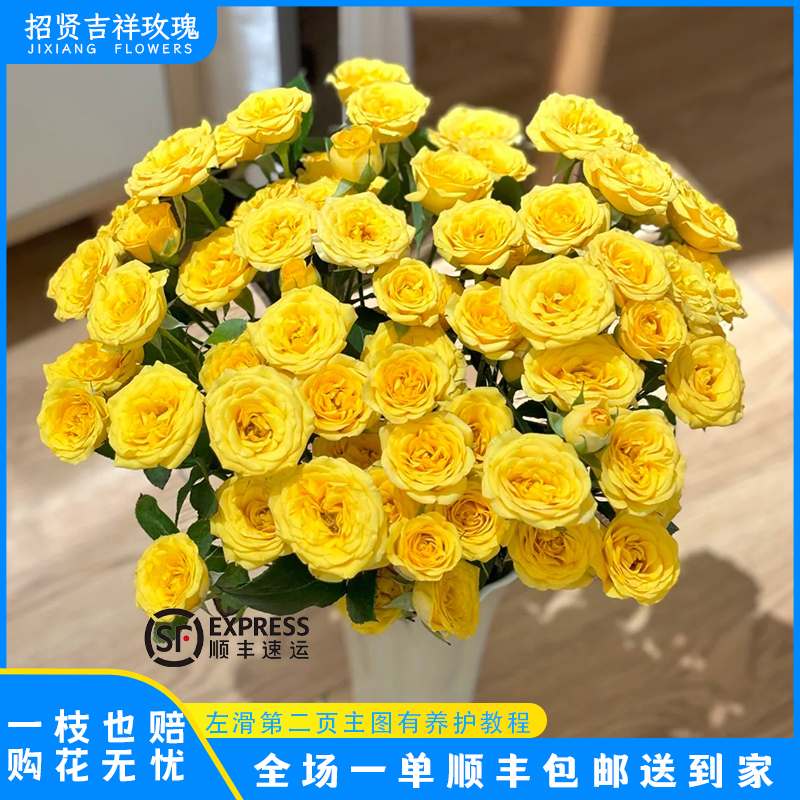 【梦幻芭比A/B】黄色多头 山东基地直发 现采现摘顺丰包邮 直播专享