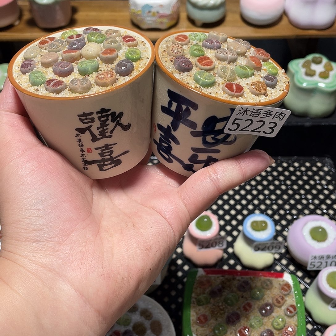 带盆土植物 一物一拍5223