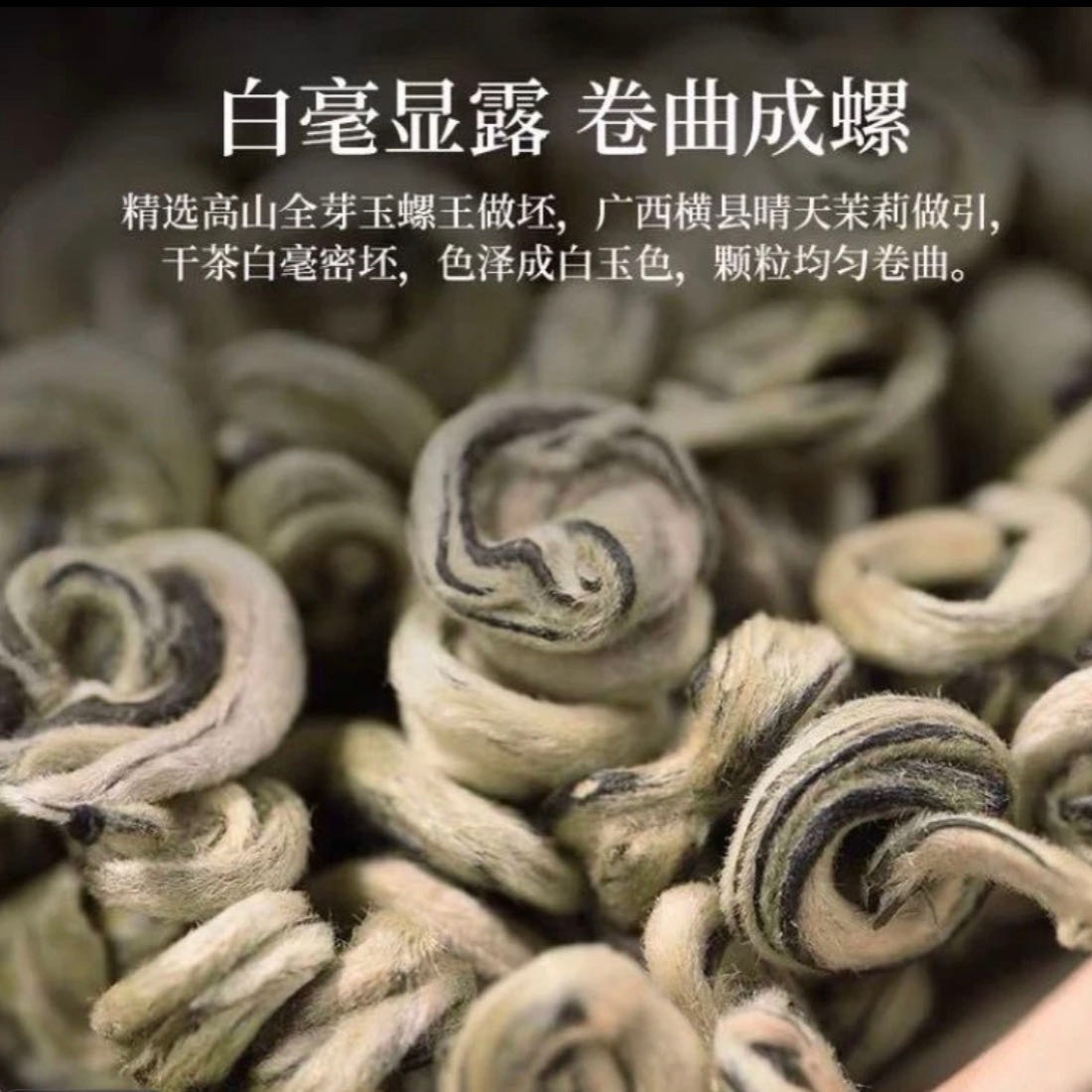 25年茉莉花茶全芽5号白玉螺王浓香耐泡5号