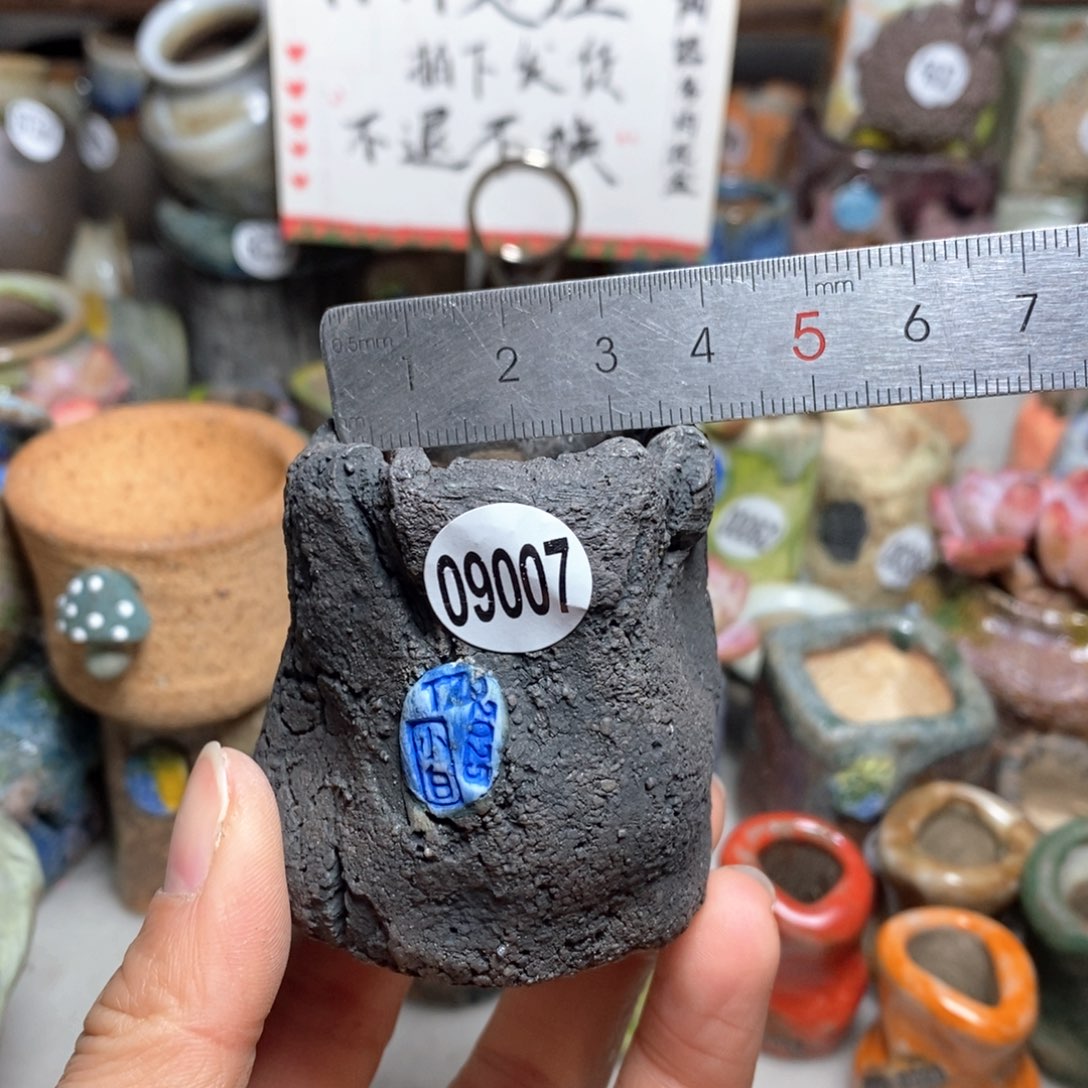 花盆拍3送一个小礼物