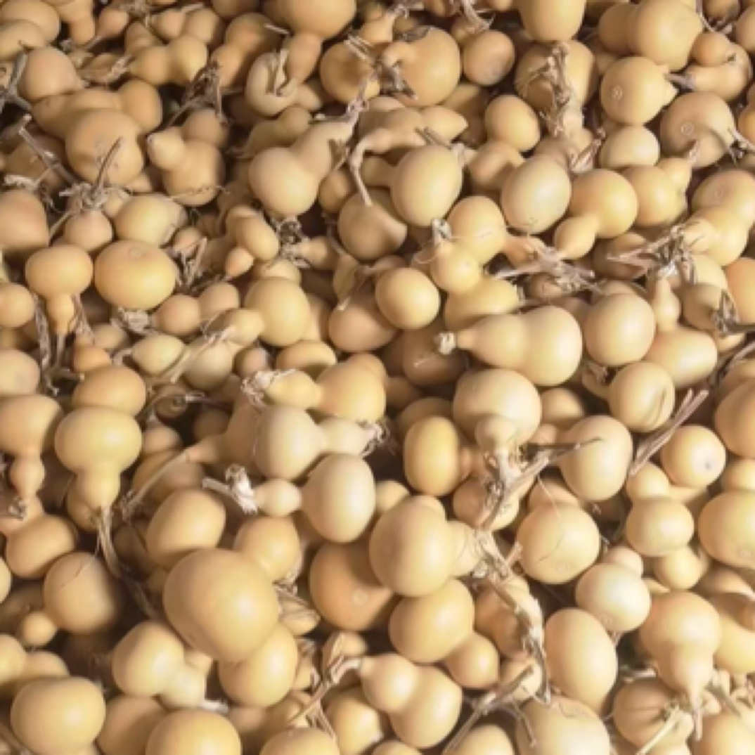 精品葫芦直播间一物一拍