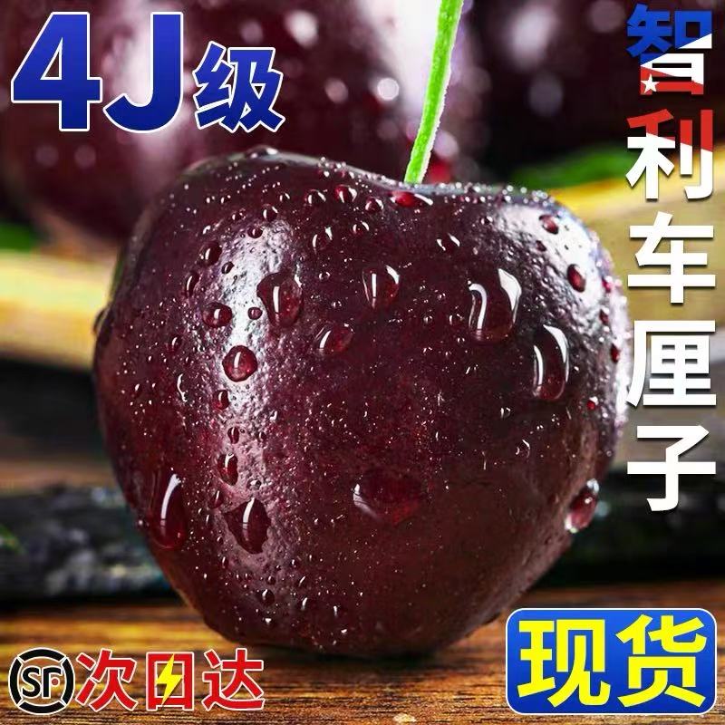 【现在拍明天到】智利空运进口车厘子4JD鲜水果桑提娜樱桃内附果径卡净果800g2500g桑提娜樱桃智利共和国