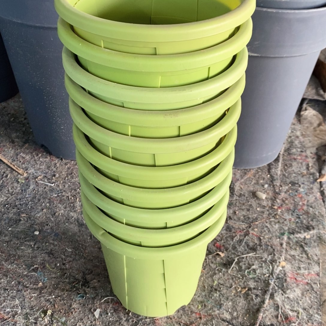 N****赵5个20口果绿色三代青山瑕疵无托（20×18）