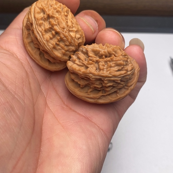 半壁江山白狮子头