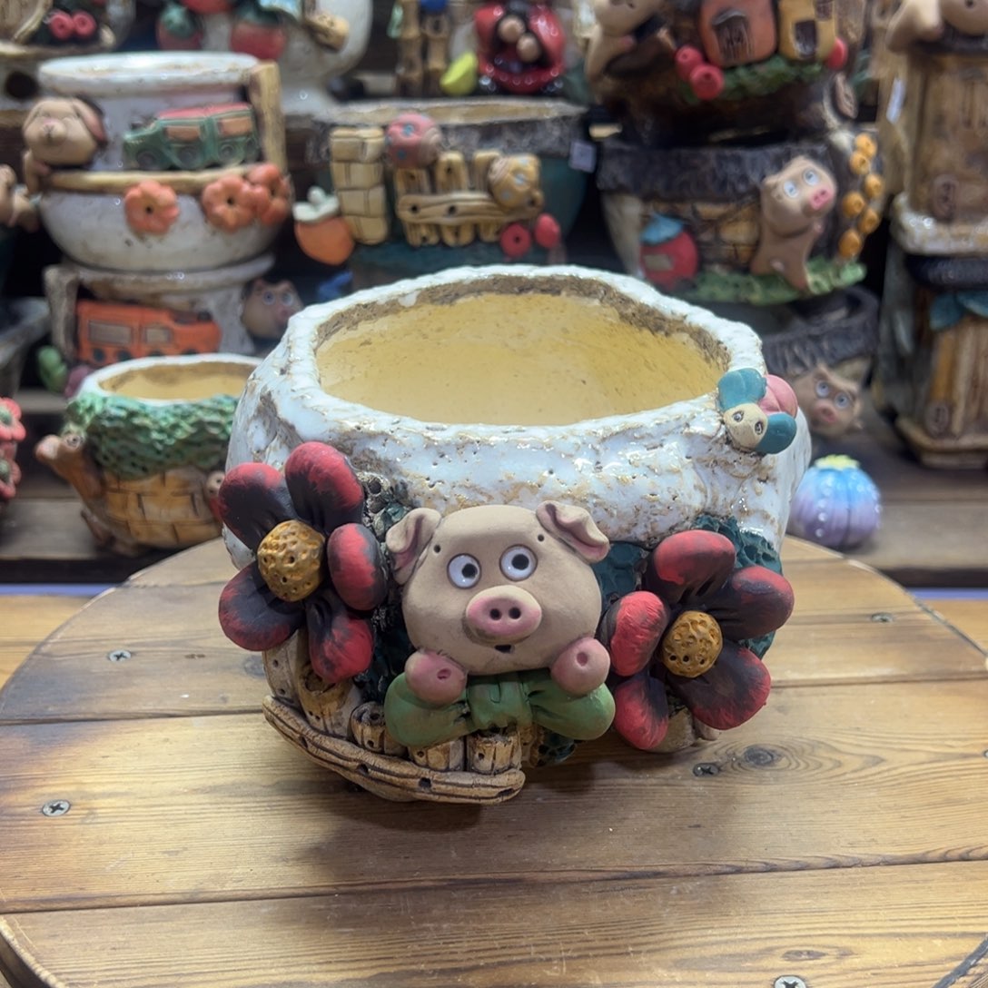 红陶嘻哈多肉花盆