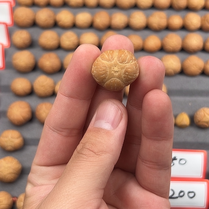 吊坠凤眼菩提23五星开孔不退不换