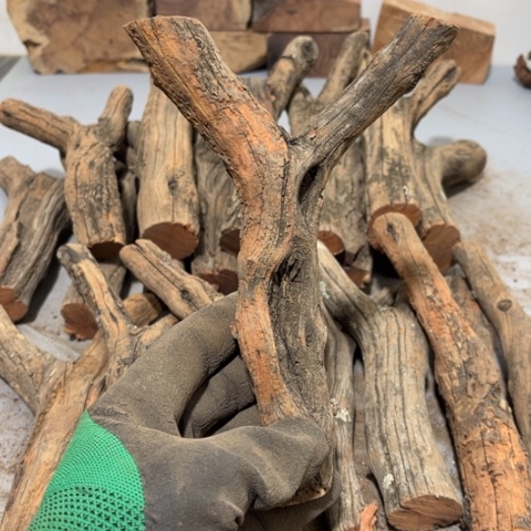 大果紫檀（缅甸花梨）黑**、