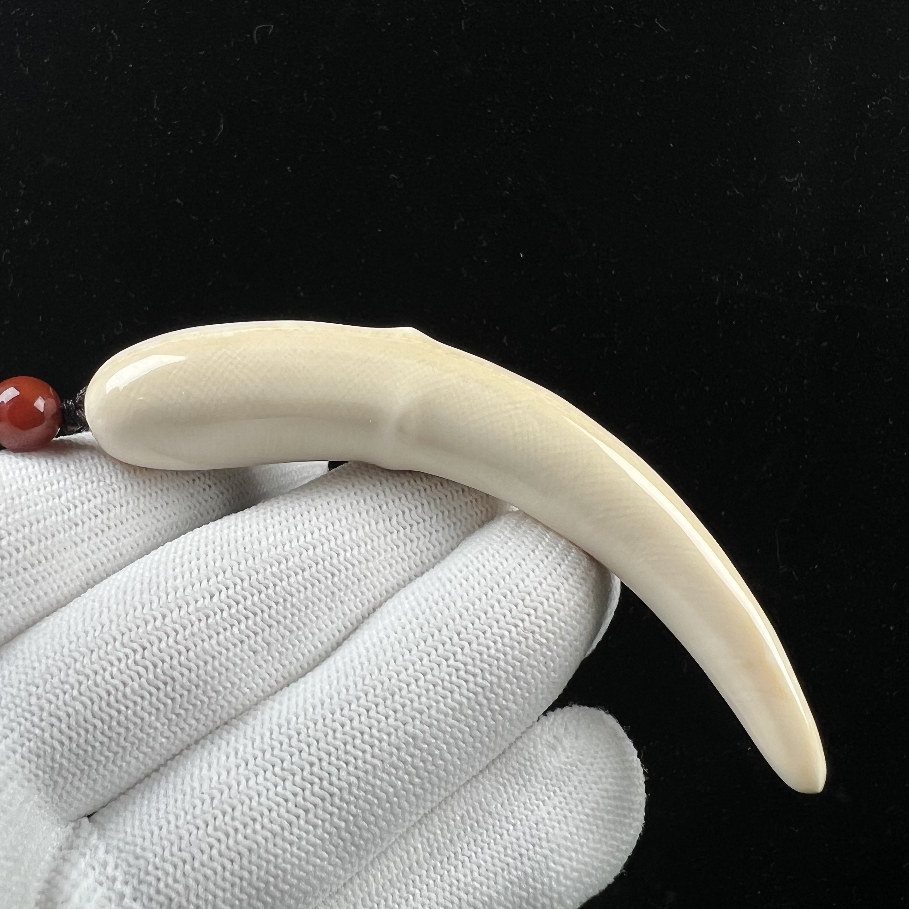 D1799天然猛犸牙雕刻牙尖 84mm支持鉴定 假一罚四