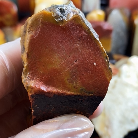 寿山石木*寿山品种石原石毛料