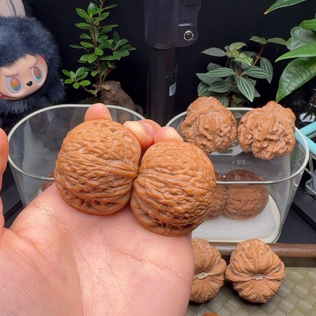 苗***大吊坠龙脊菩提全品铁锤41