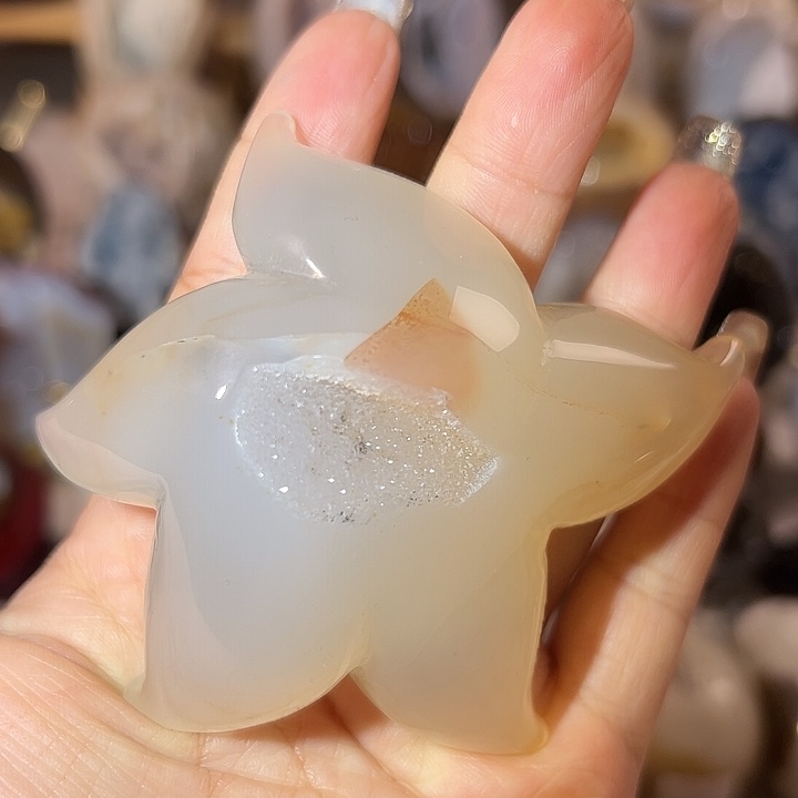 玛瑙/玉髓无未镶嵌大海星