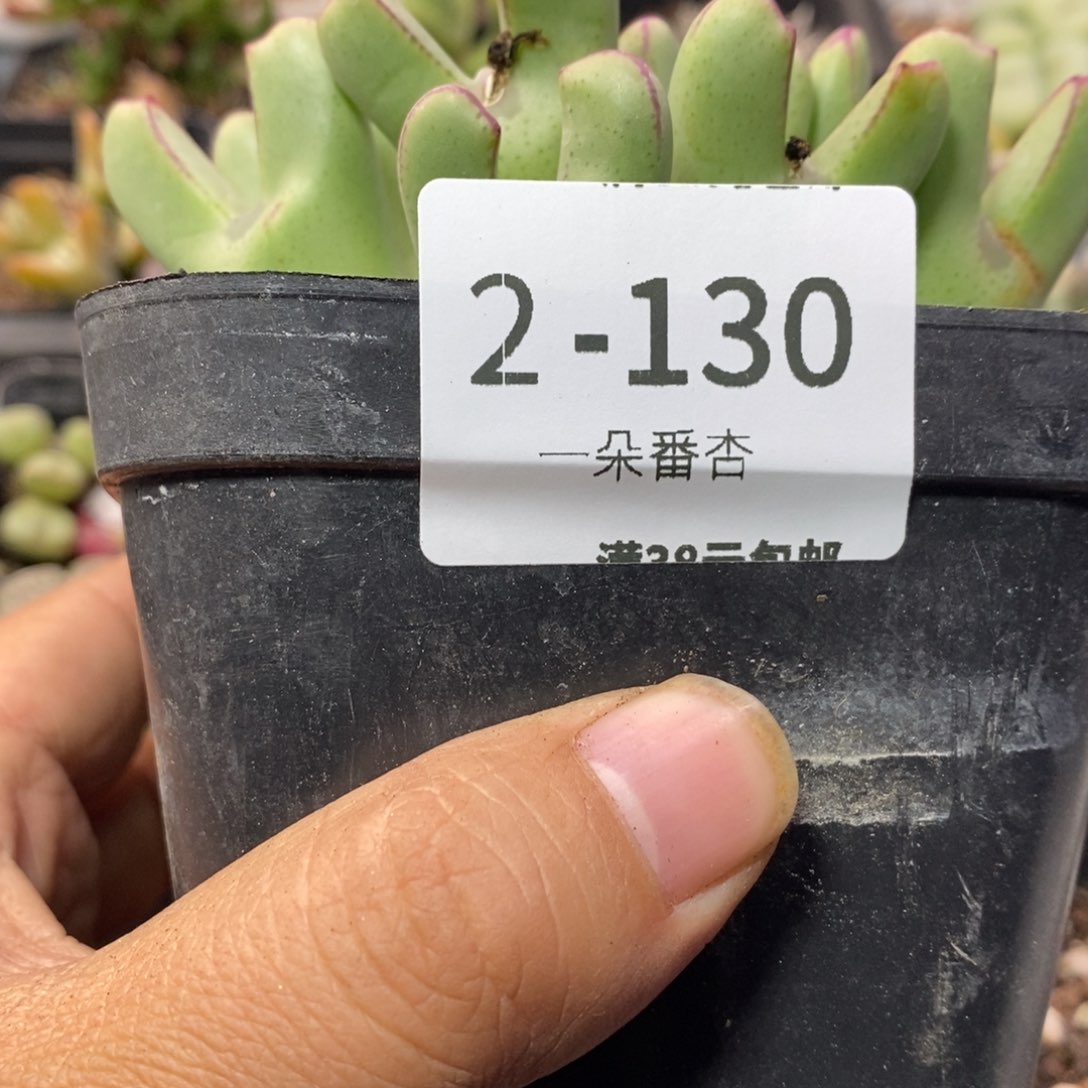 饭**.555699999999999999999999