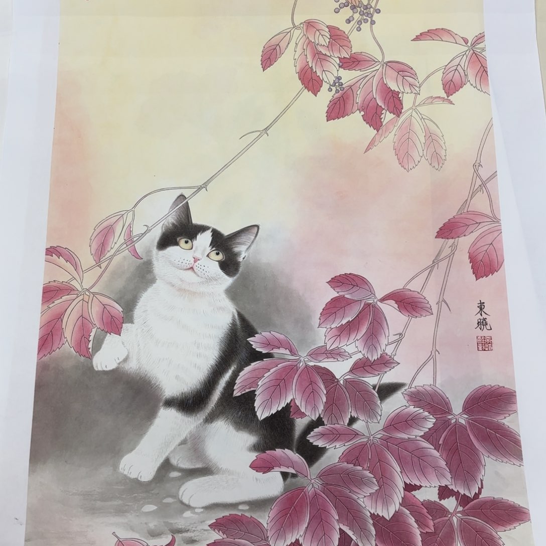 国画书*徐东晓斗方李欣项目主播