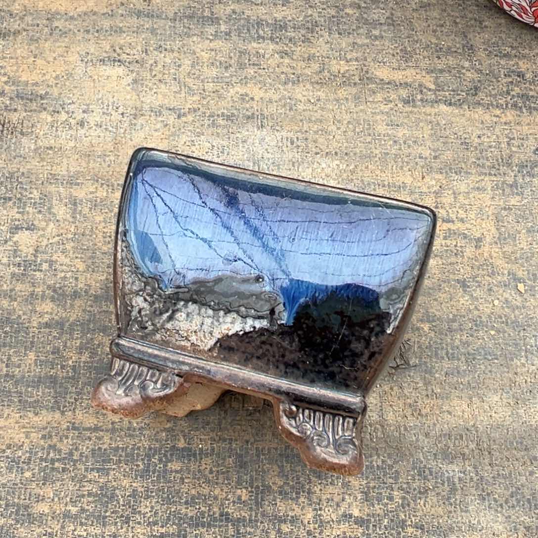 柯*多肉一物一拍0209-130