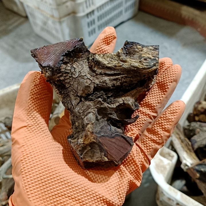 F***.香榧木火琉璃疙瘩毛料毛料毛料