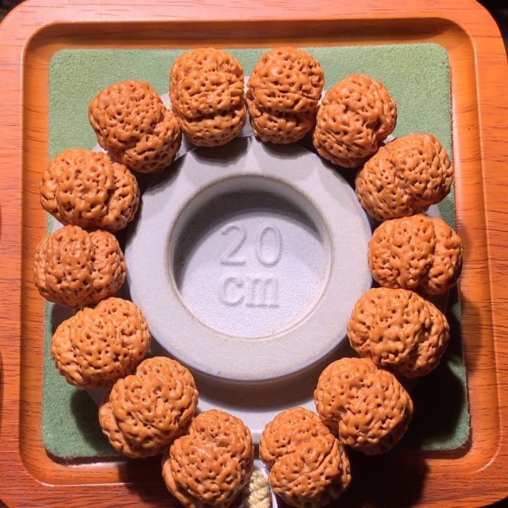 金刚菩提手串25+梁五面龙