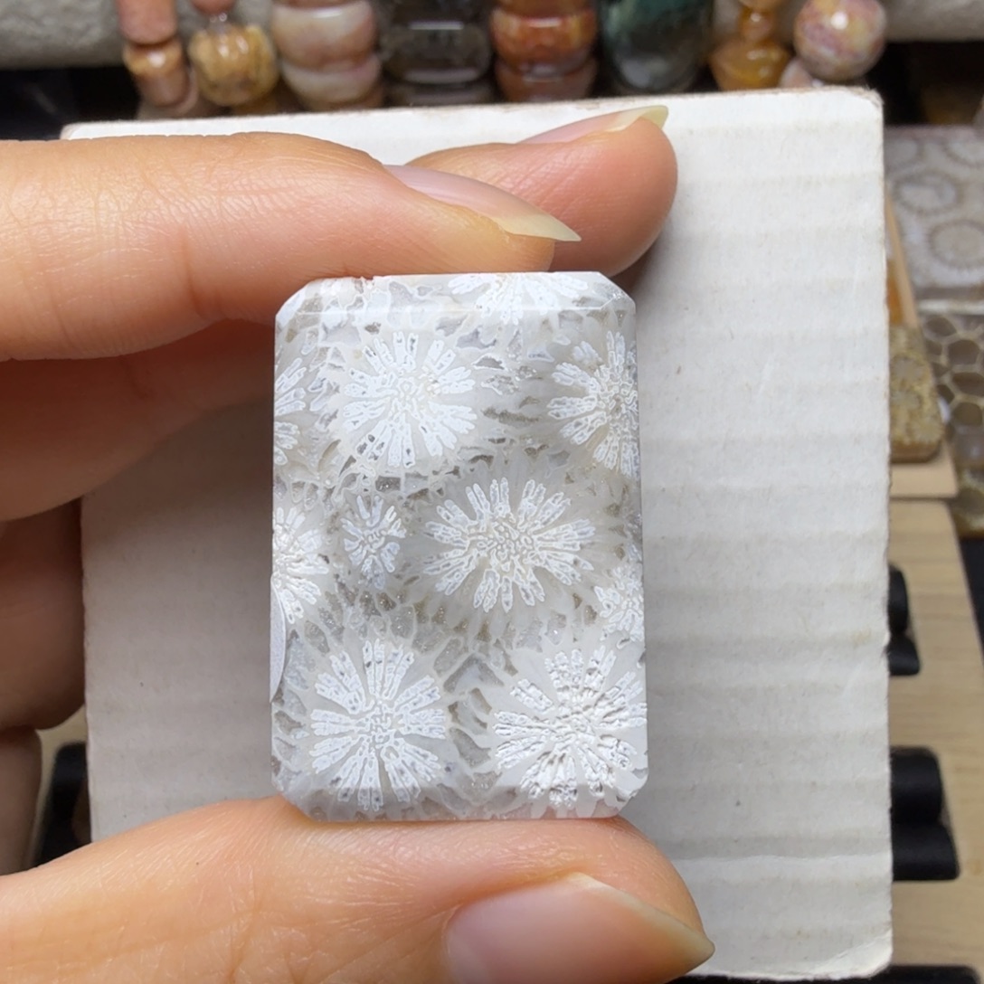 硅化玉未镶嵌灰底 骨骼白皮花