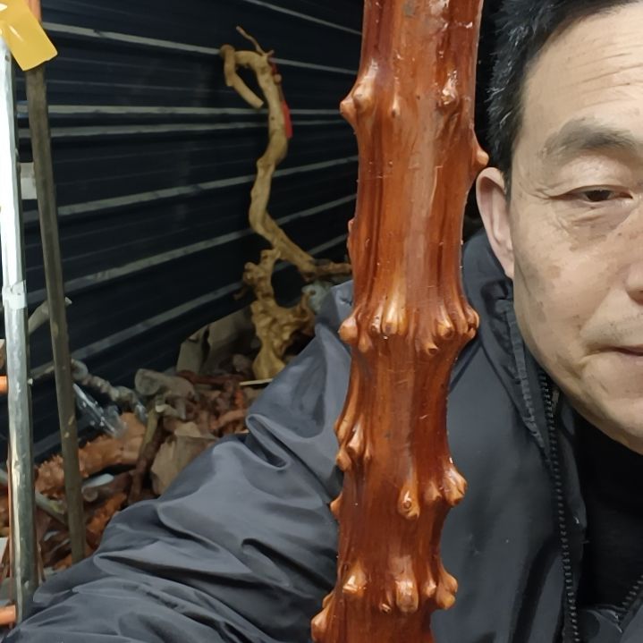 稳定木抬****光贵州檬子木   铁马鞭   根艺  半成品
