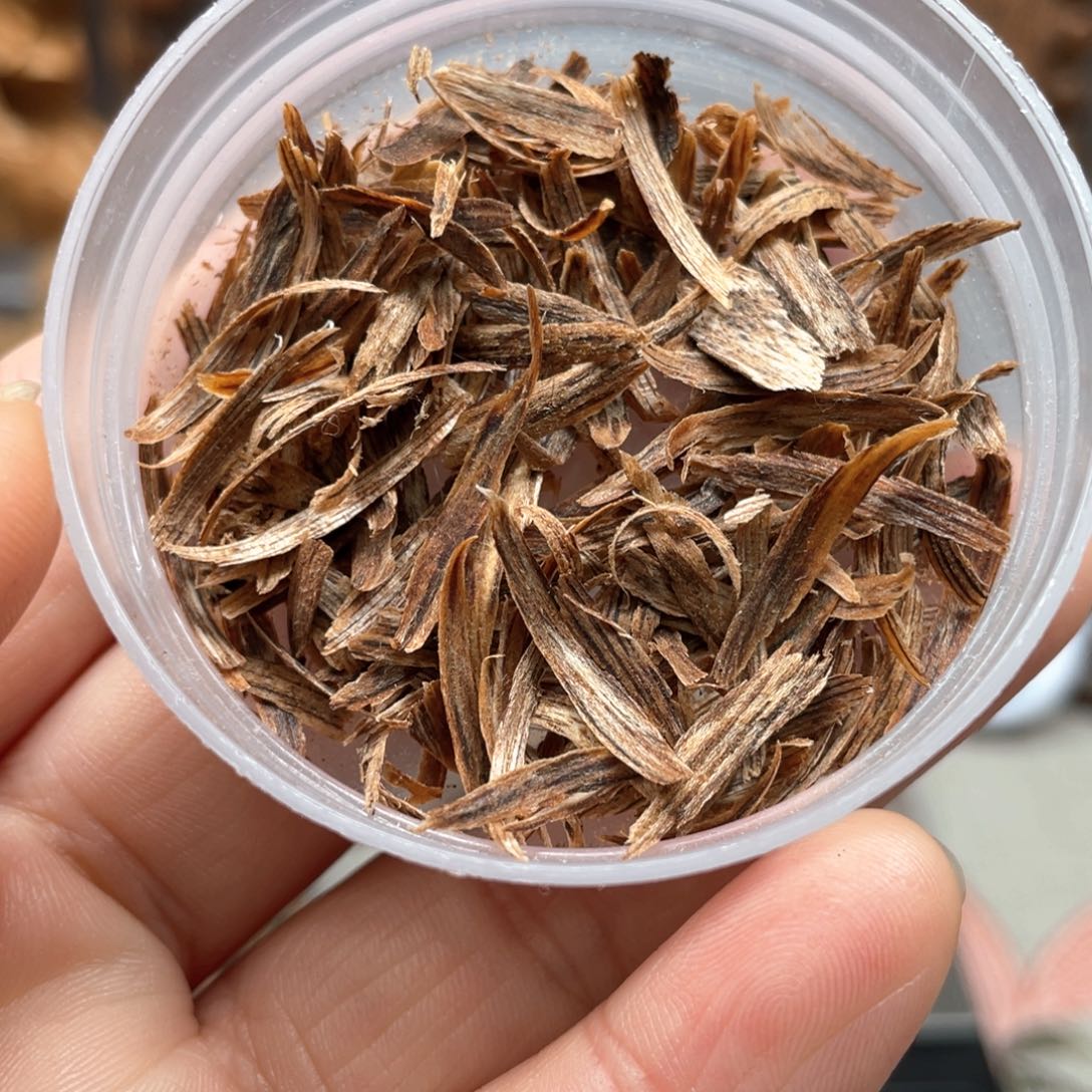 【闪购商品】沉香沉香碎屑惠安勾丝1克