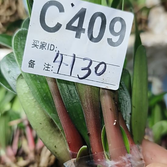 用***9完全开放0000088800