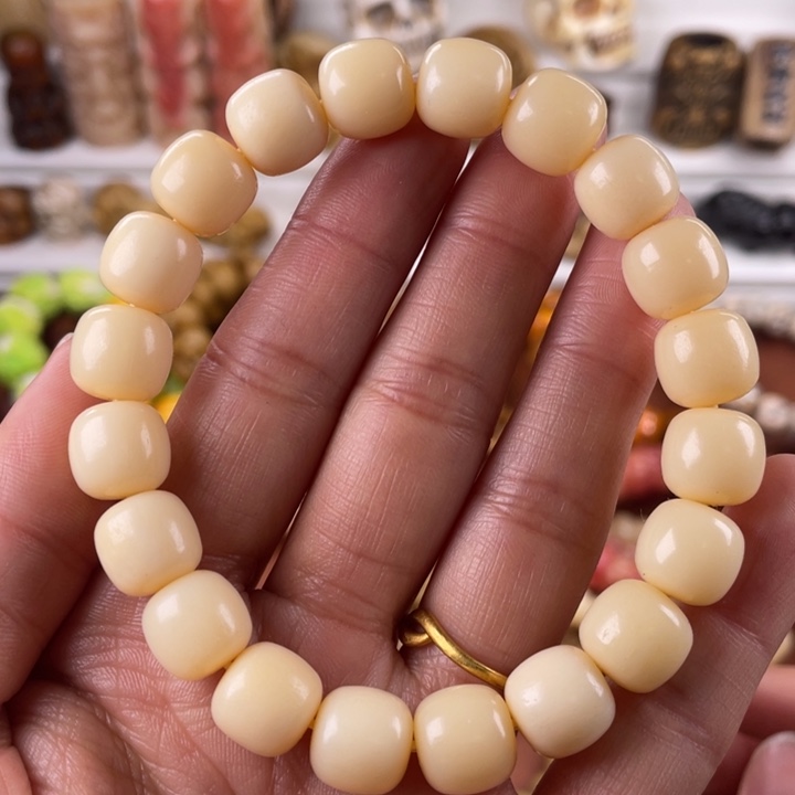 驼骨其他骆驼骨老邢11