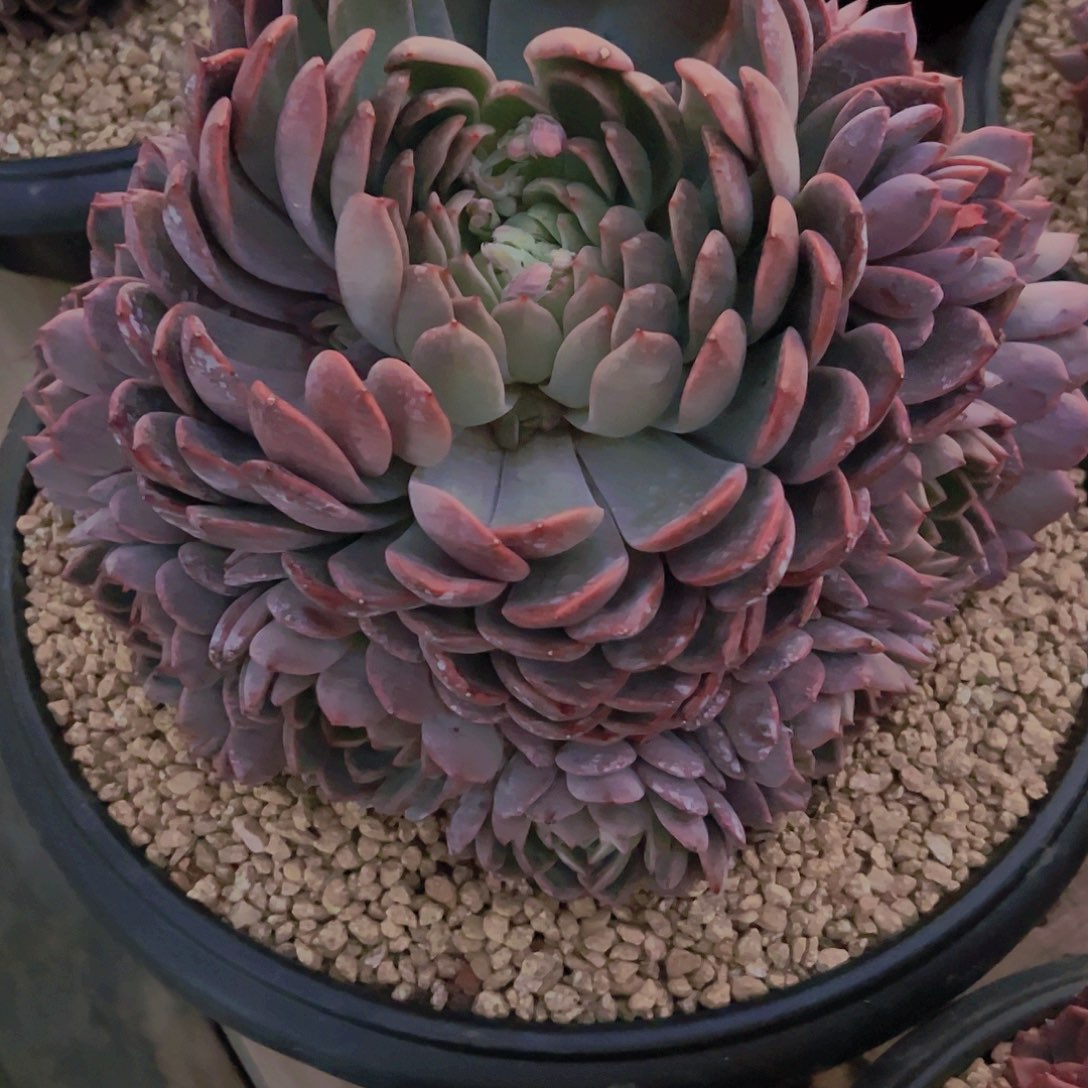 ?****88888888888888888888