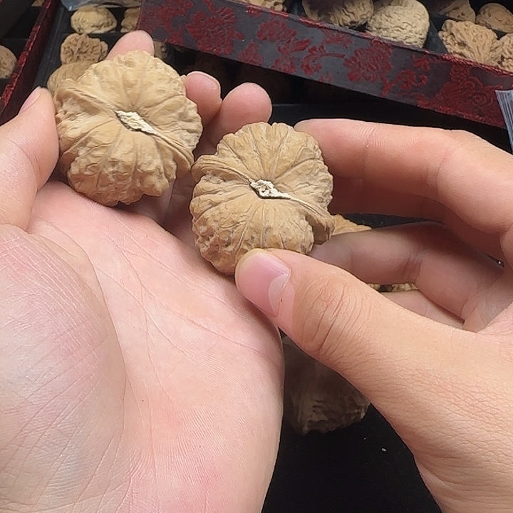 胡***巴龙脊菩提吊坠啊啊啊啊啊啊啊南瓜14