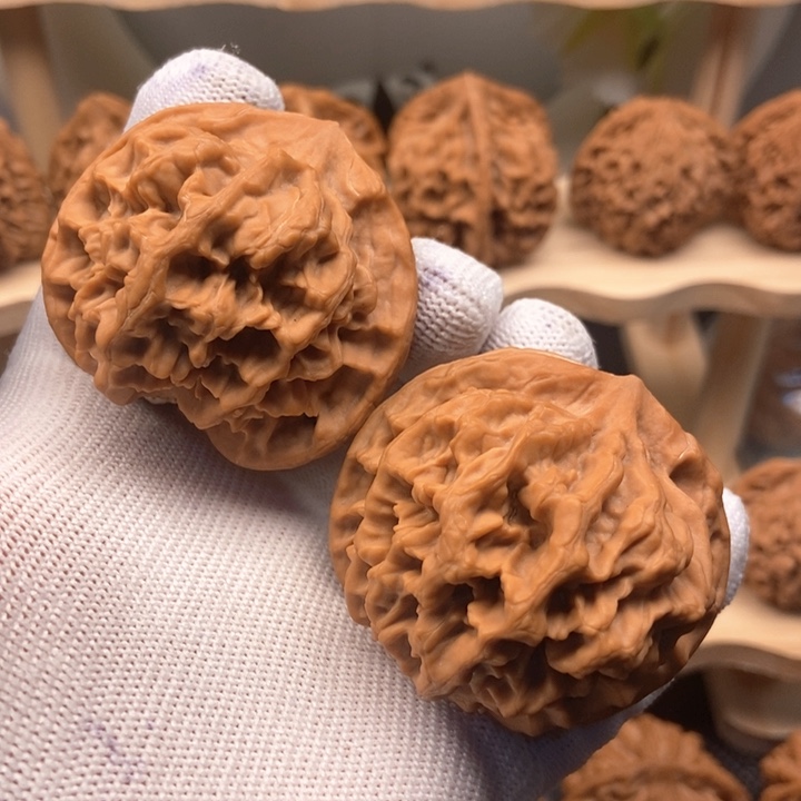 叮*秦岭官帽大花48尺