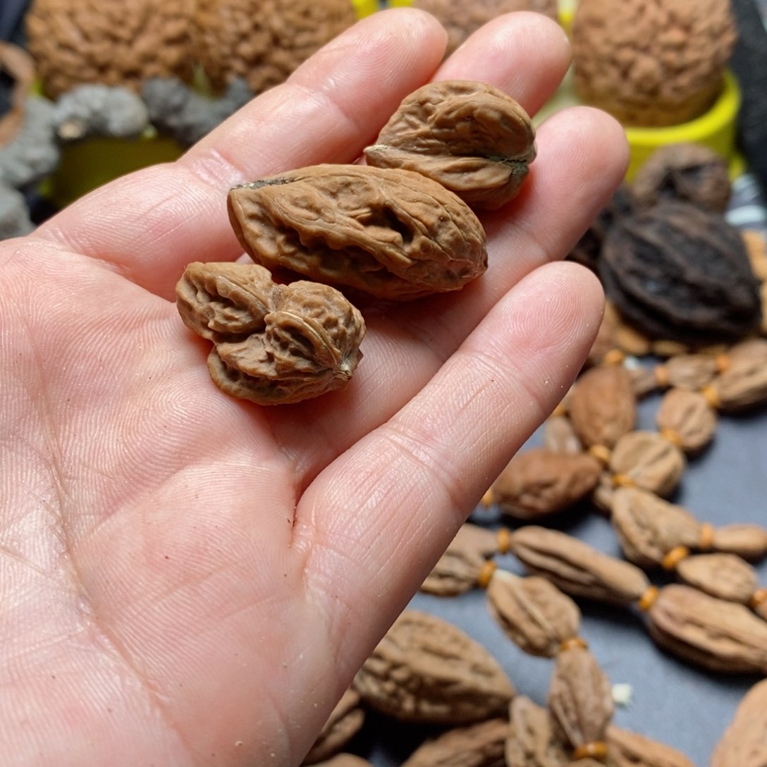 文玩核桃吊坠核桃65