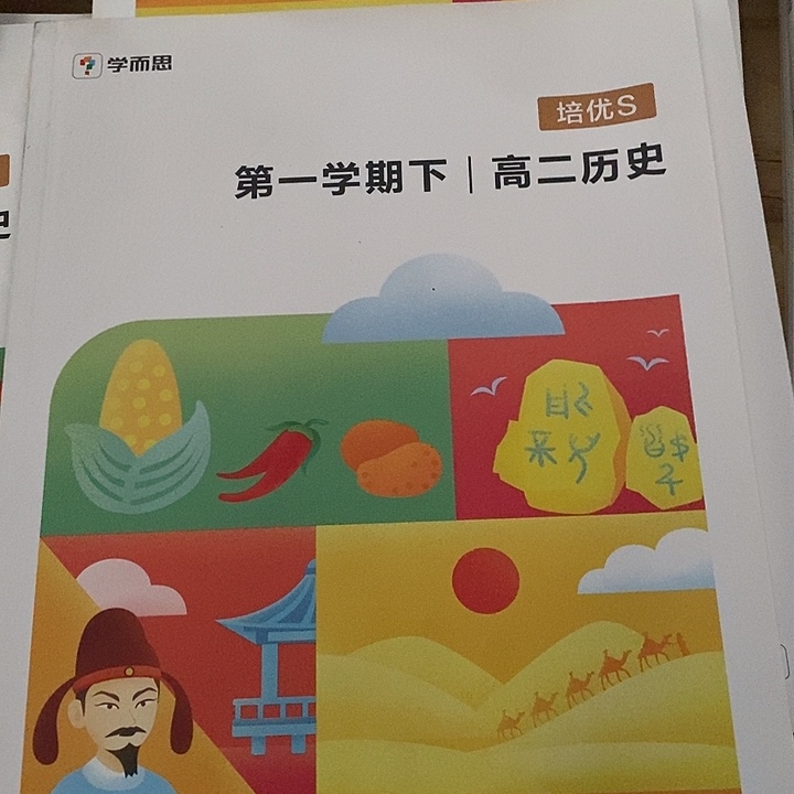 高二历史培优S，第一学期下