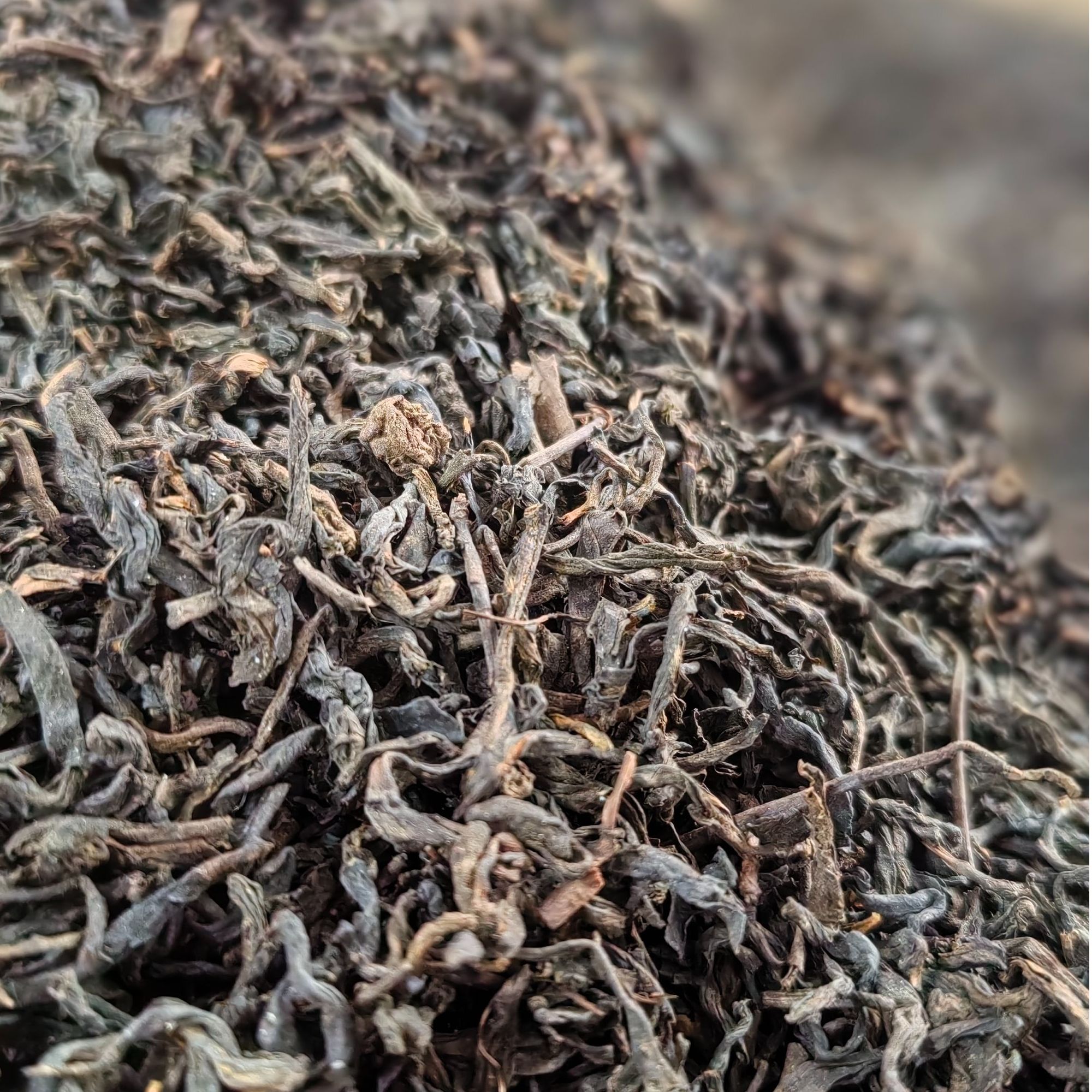 【老板娘私藏高货】满小茉 2019相思六堡茶 一级 广西梧州黑茶