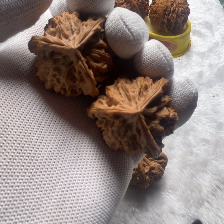 把件桃核宏盘山三棱