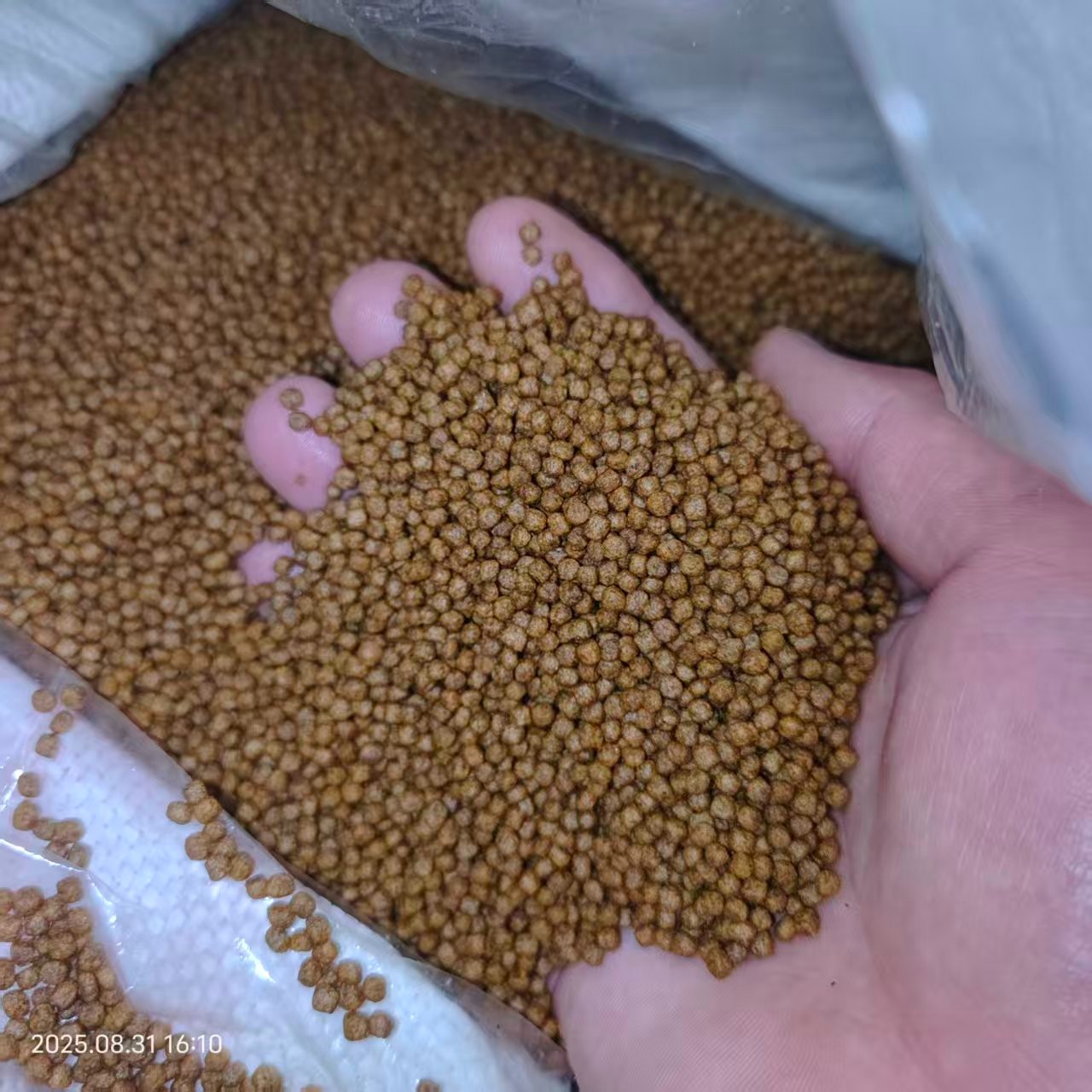 渔场专用高蛋白鱼粮250g