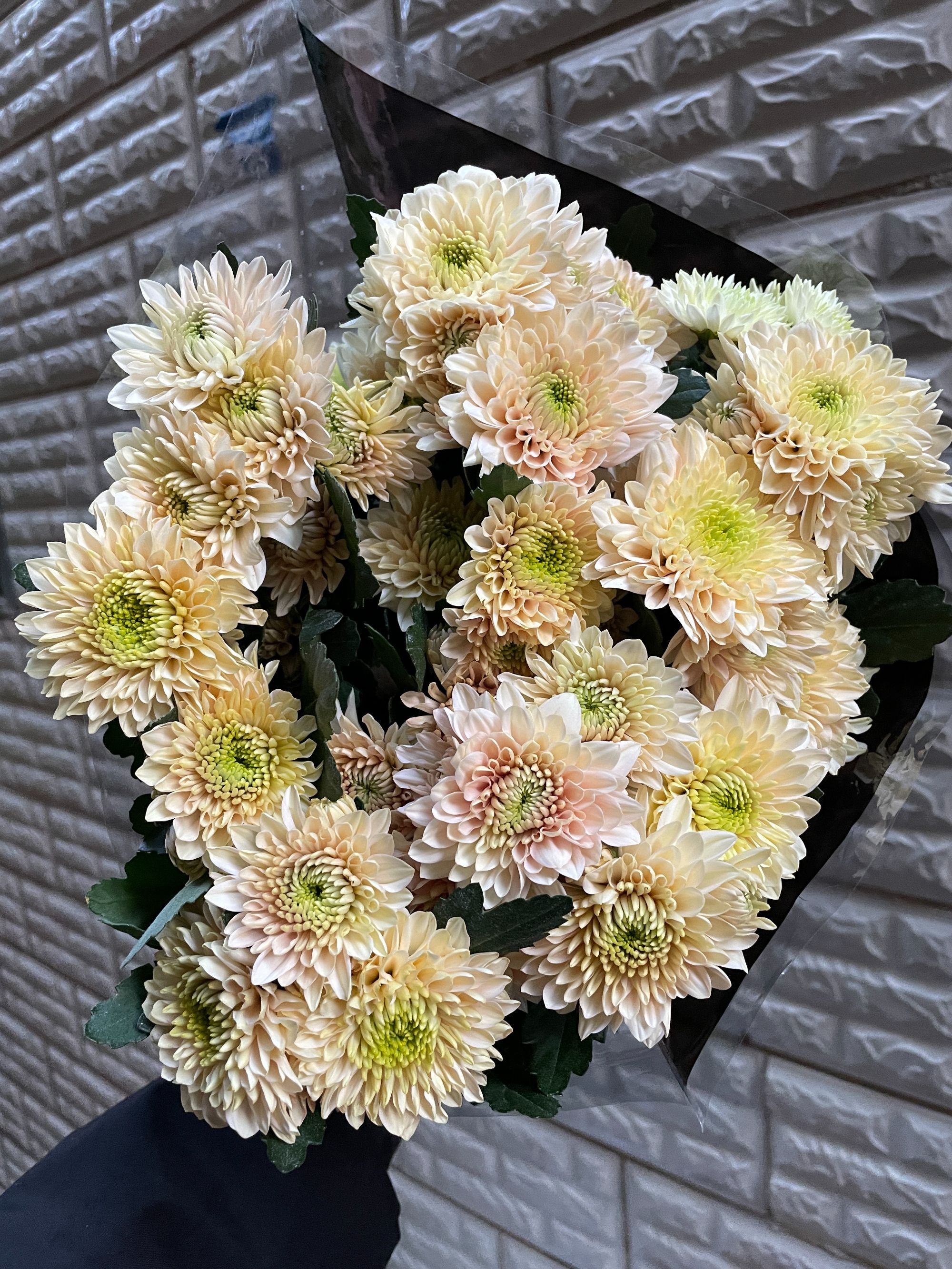 琉璃香草（大花）10枝全店1-5扎1个运费