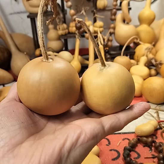 善***鹏直播间专供链接葫芦链接葫芦