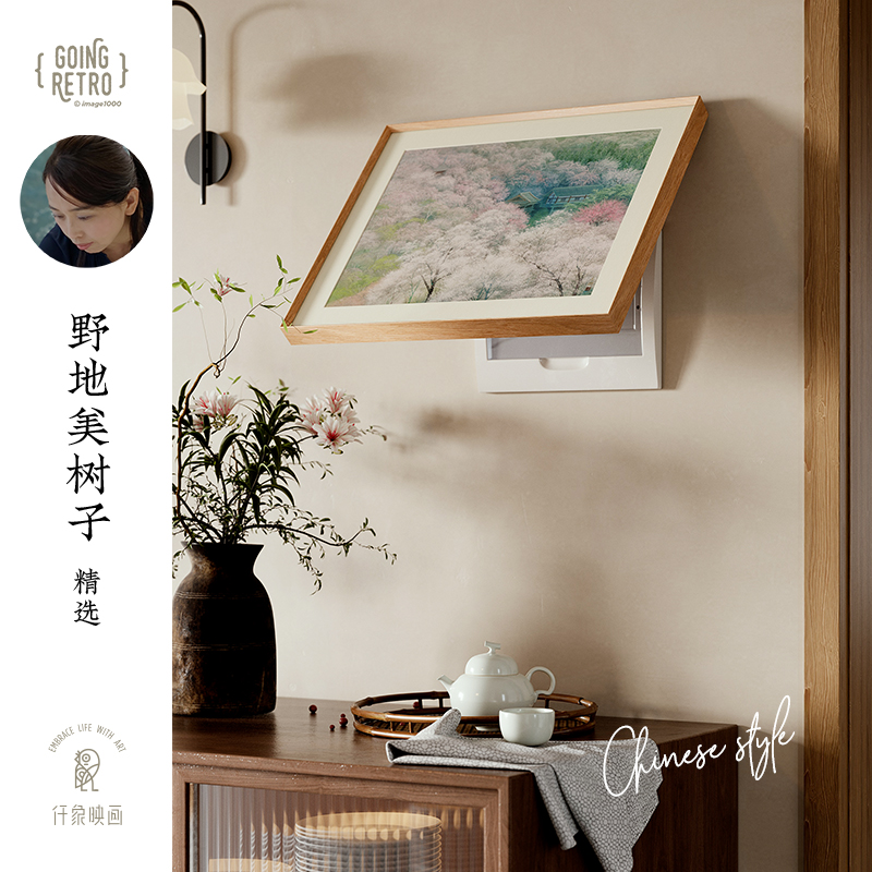 野地美树子X仟象映画 电表箱遮挡装饰画2025新款原木风艺术挂画