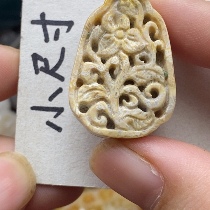硅化珊瑚（珊瑚玉）未镶嵌颈饰