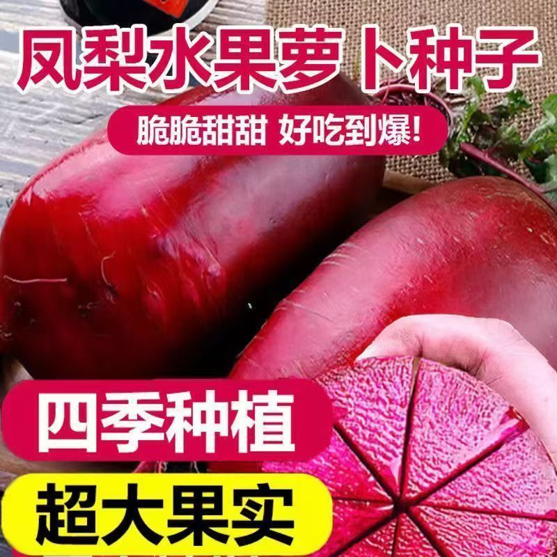 【全店满5包包邮】凤梨水果萝卜种子高产脆甜多汁四季播种蔬菜种子