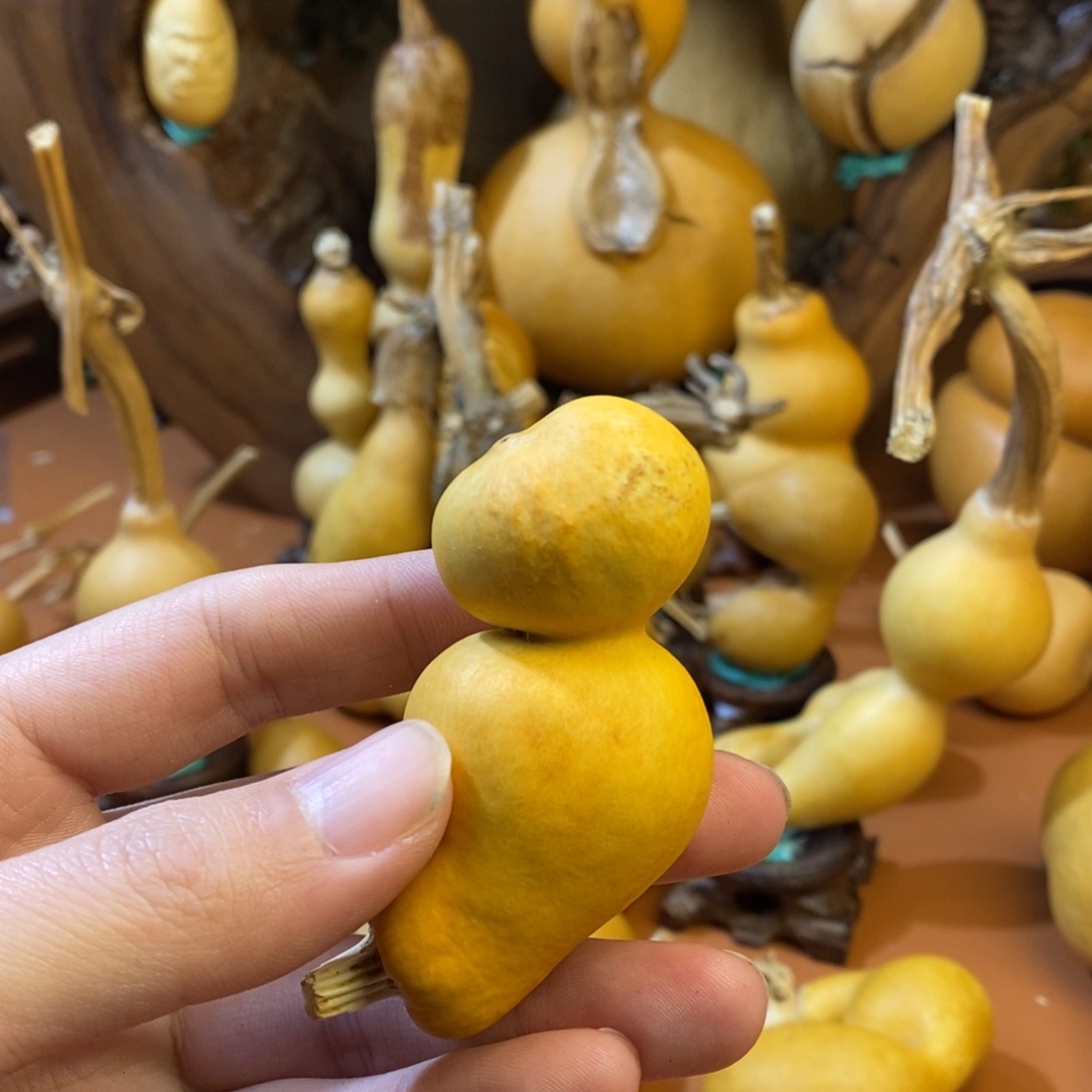 笑***了教练教练教练咯你